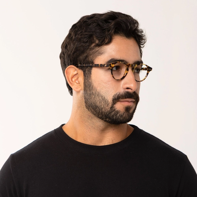 Bari